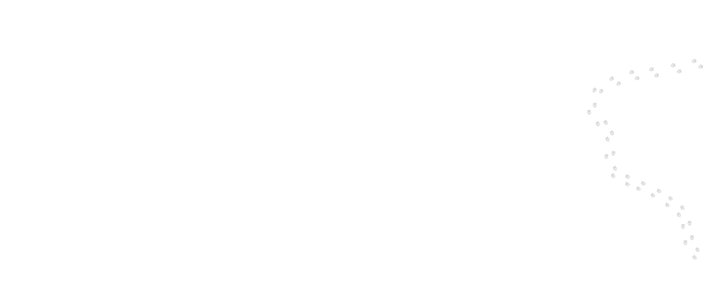 Type a description of this image