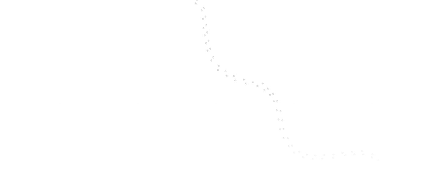 Type a description of this image