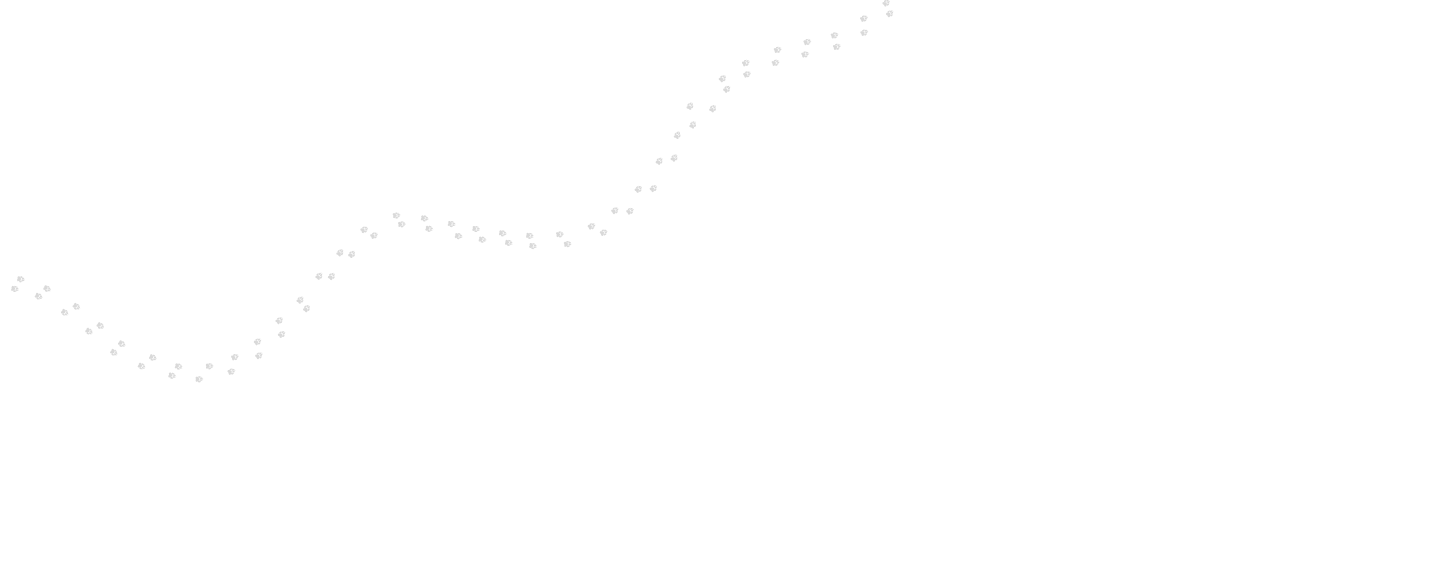 Type a description of this image